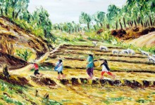la traversée des rizières asséchées ( Birmanie )