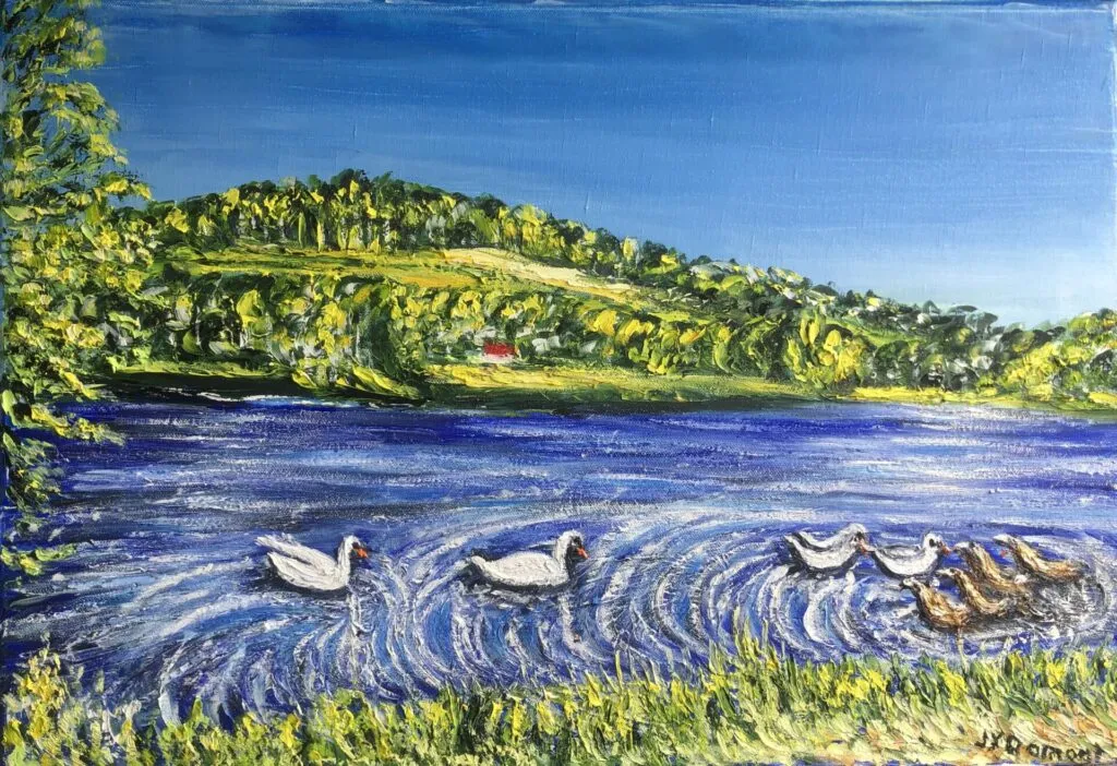 Arques-la-Bataille : cygnes et canards sur les étangs