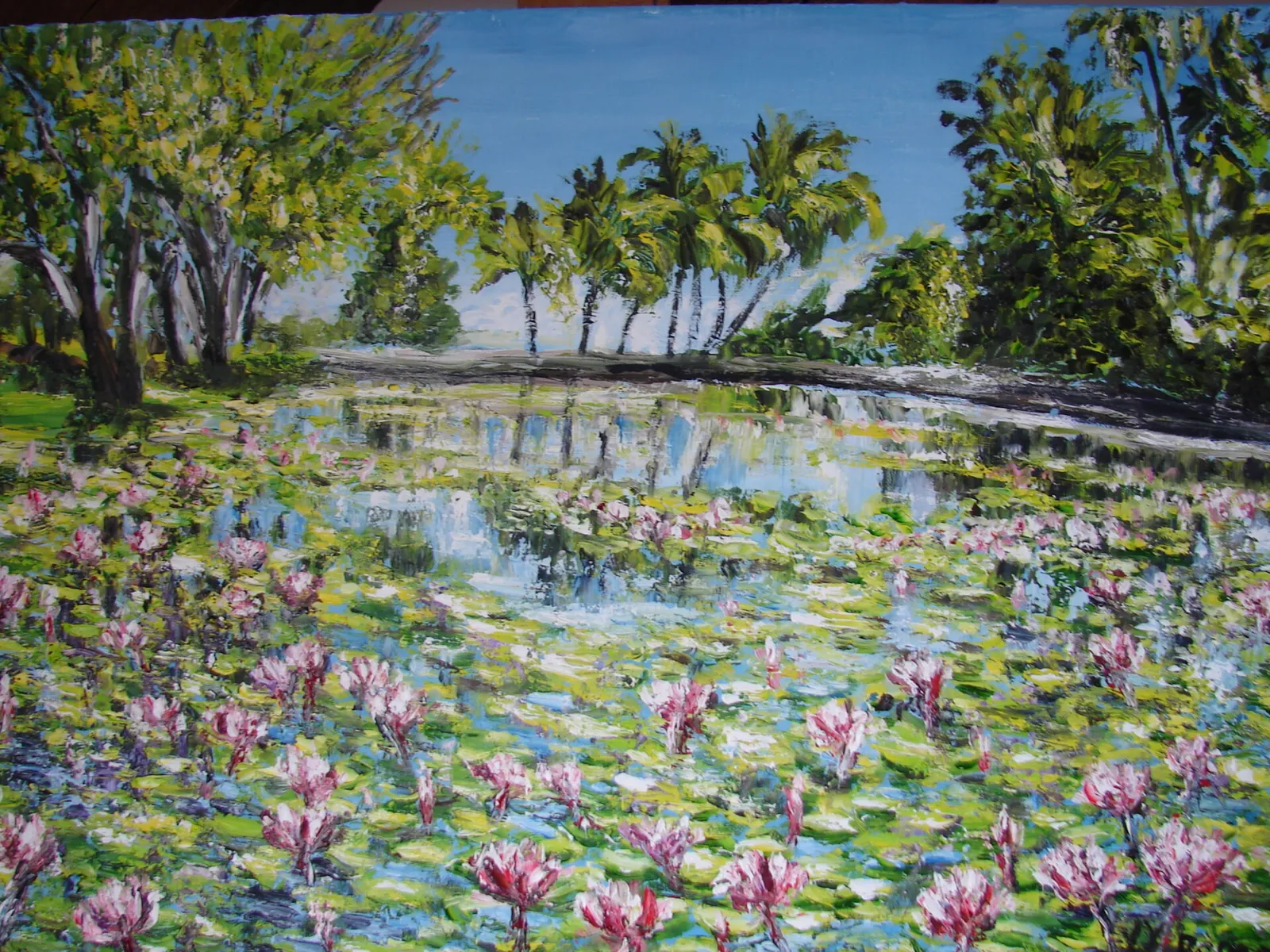 Bali : l' étang aux  lotus