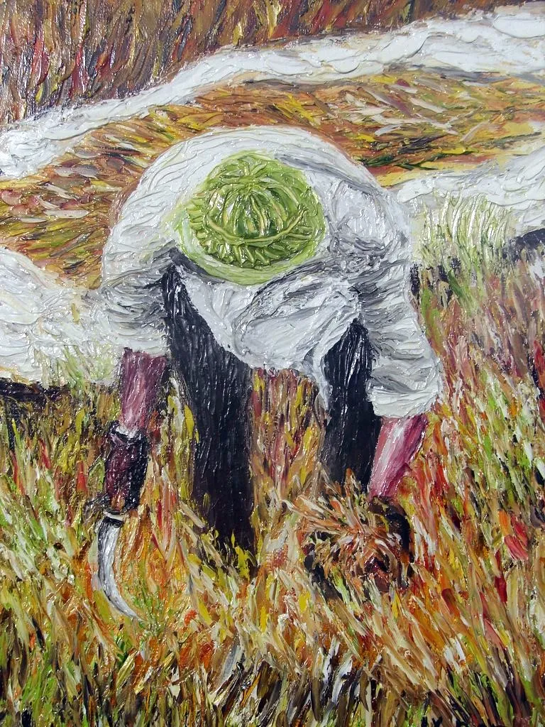 Vietnam : la moisson du riz
