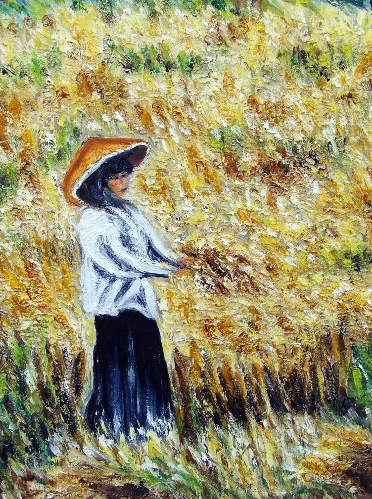 Birmanie : la récolte du blé