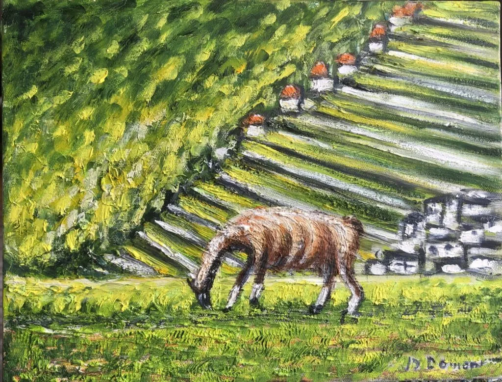 Pérou : le lama du Machu Picchu