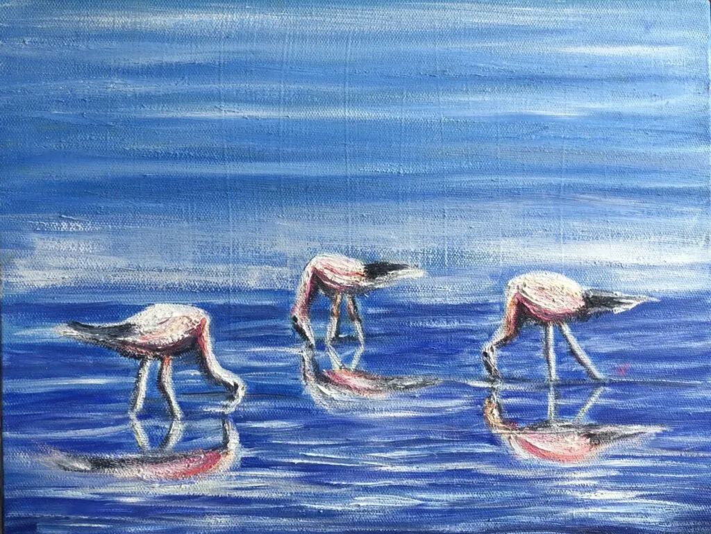 Chili : les flamands roses dans les lagunes du désert d'Atacama