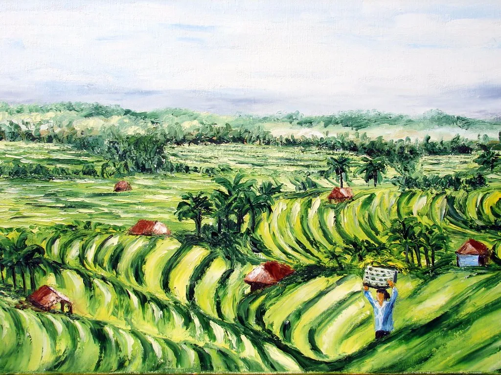 Bali : les rizières