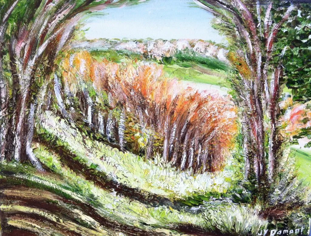 Mesnières-en-Bray : couleurs d' automne sur la colline