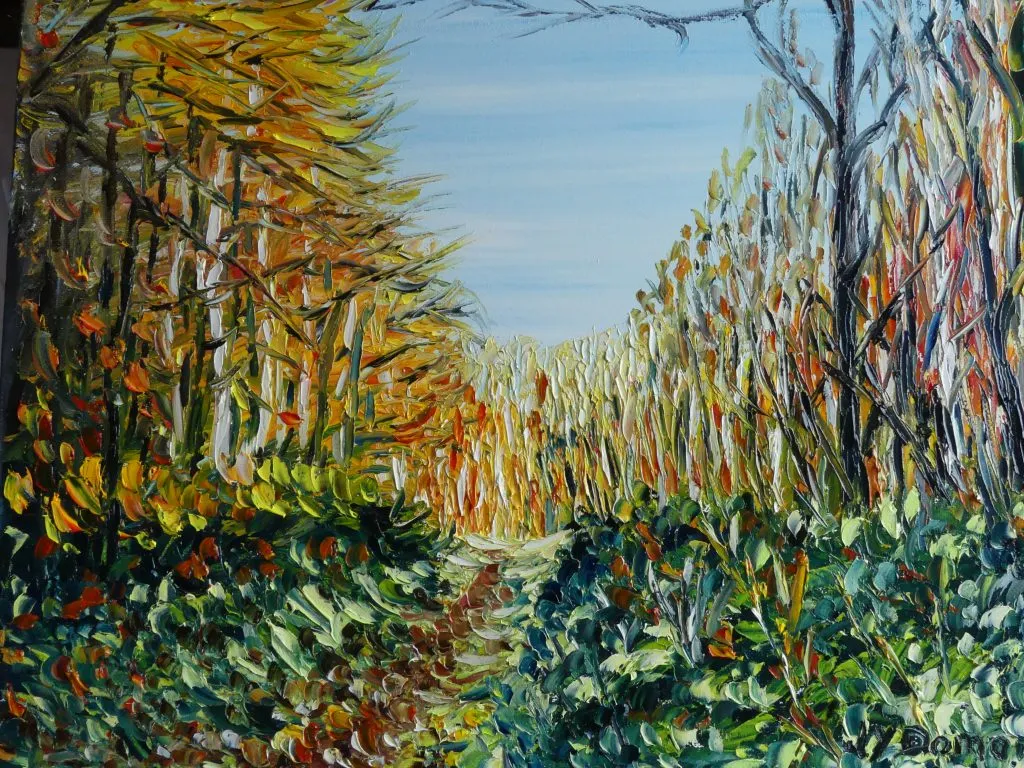 Nolléval : couleurs d'automne en forêt