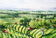Bali : les rizières