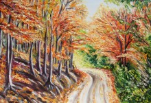 Etats-Unis : couleurs d'automne sur le mont Washington