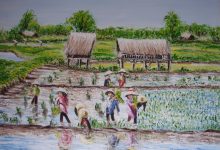 Birmanie : au coeur des rizières