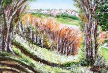 Mesnières-en-Bray : couleurs d' automne sur la colline