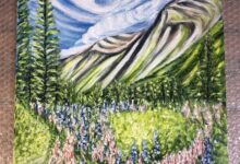 Champ de lupins en Norvège